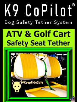 K9 CoPilot® Safety Belt w/ Detachable Tether image 0