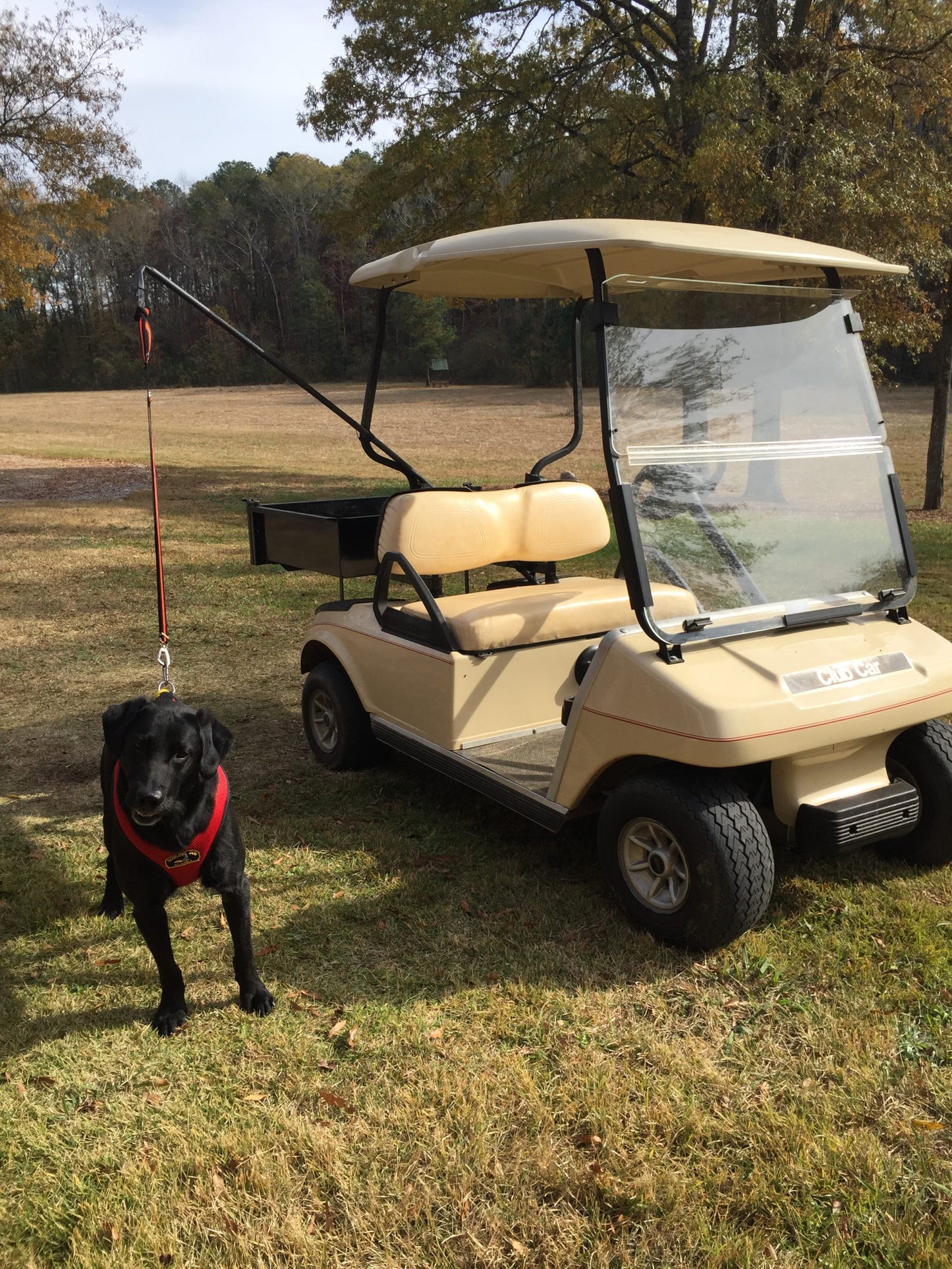 K9Caddy® 3 Way Safety Dog Leash System image 2