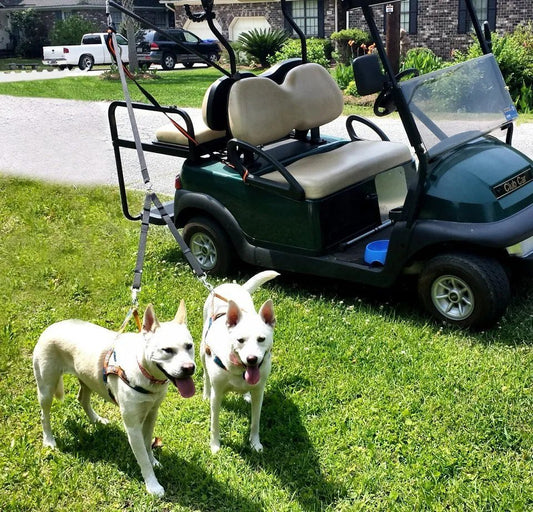 K9Caddy® 3 Way Safety Dog Leash System image 1