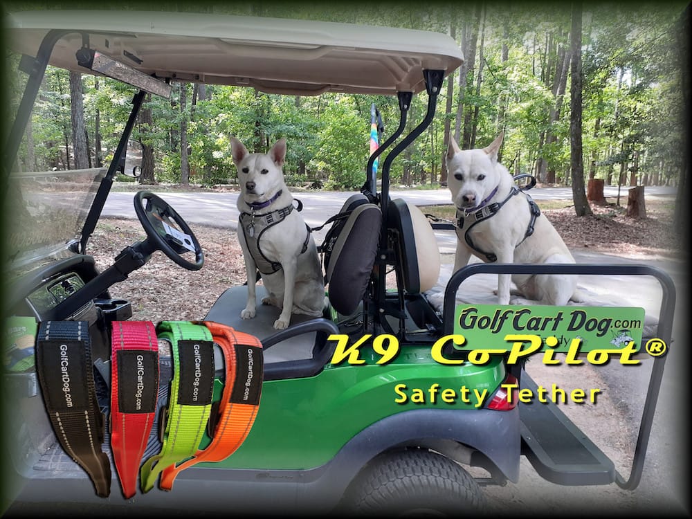 K9 CoPilot® TAKE TWO Safety Belt w/ Detachable Tether image 5