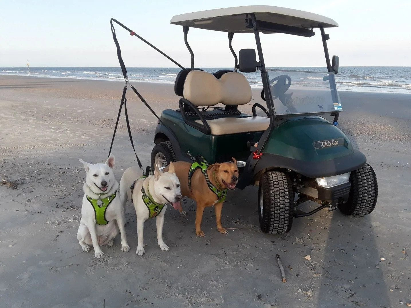 K9Caddy® 3 Way Safety Dog Leash System image 3