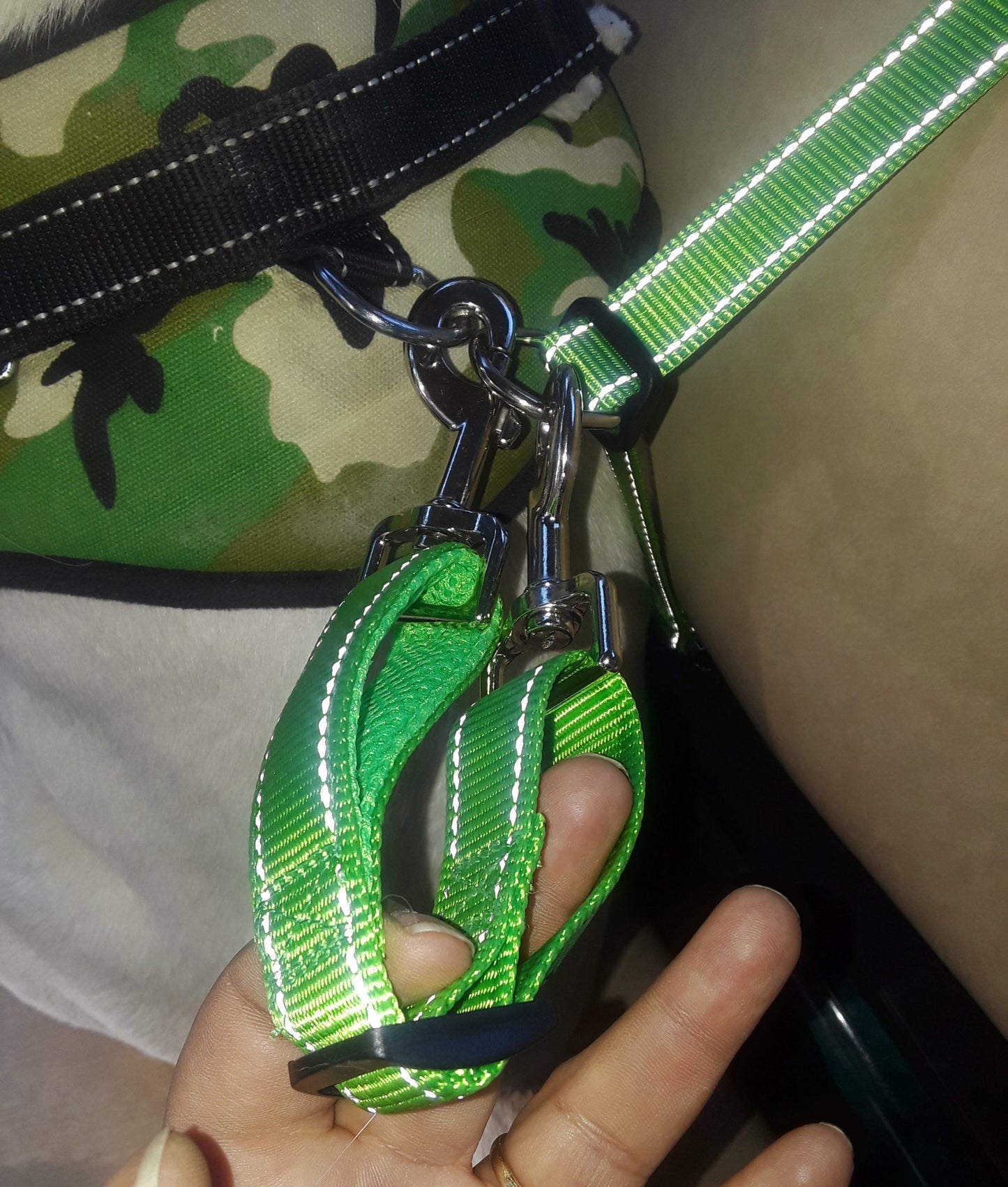 K9 CoPilot® Safety Belt w/ Detachable Tether image 10