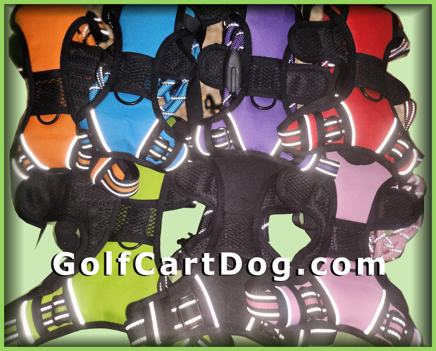 Harness + Leash - Red