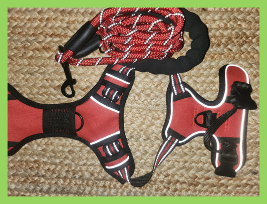 Harness + Leash - Red