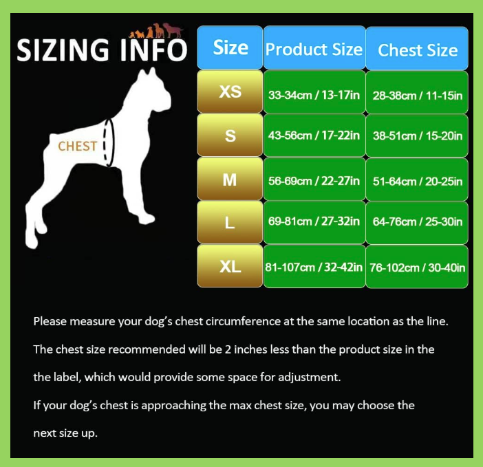 Harness + Leash - Green