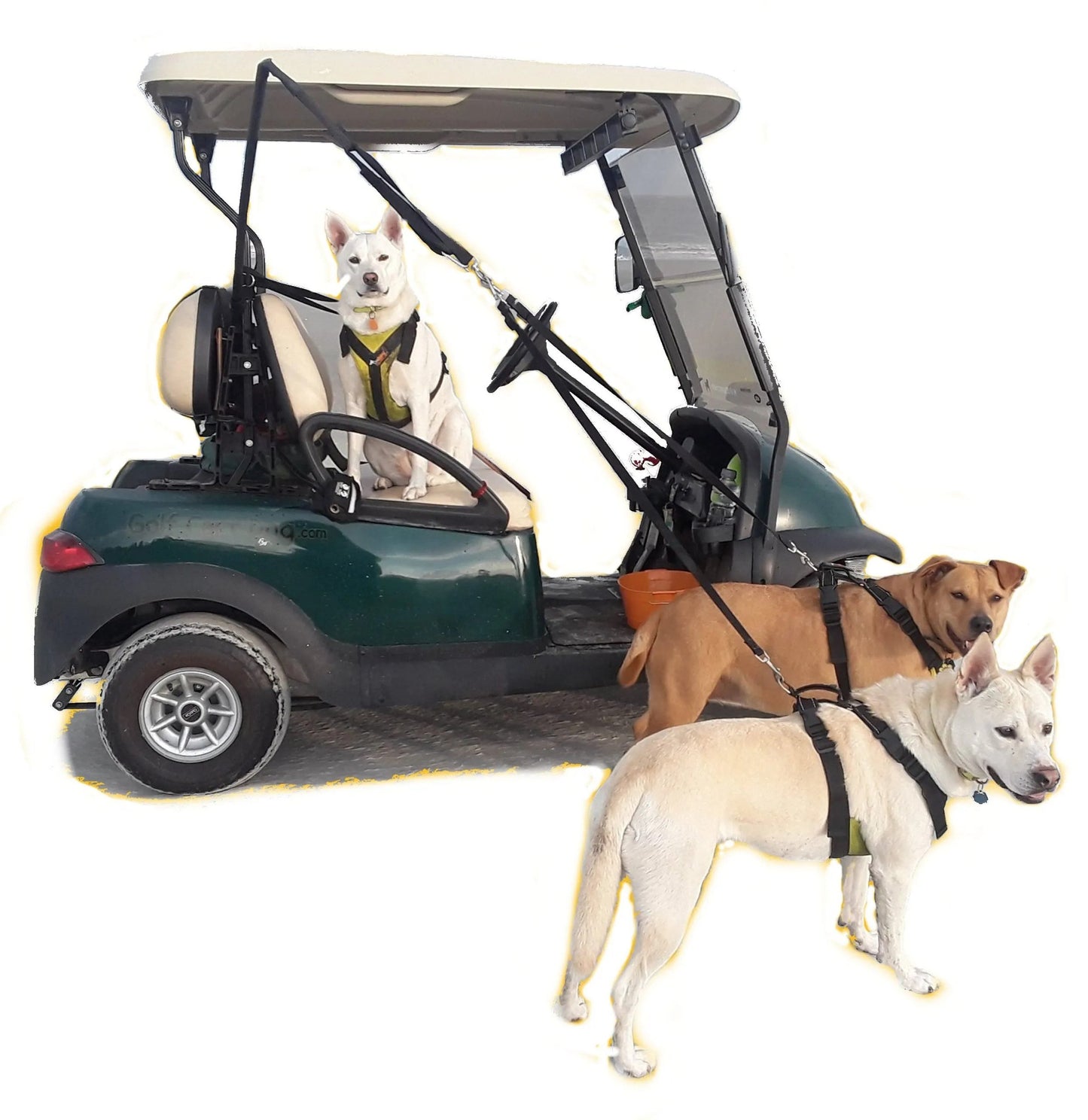 K9Caddy® 3 Way Safety Dog Leash System image 5