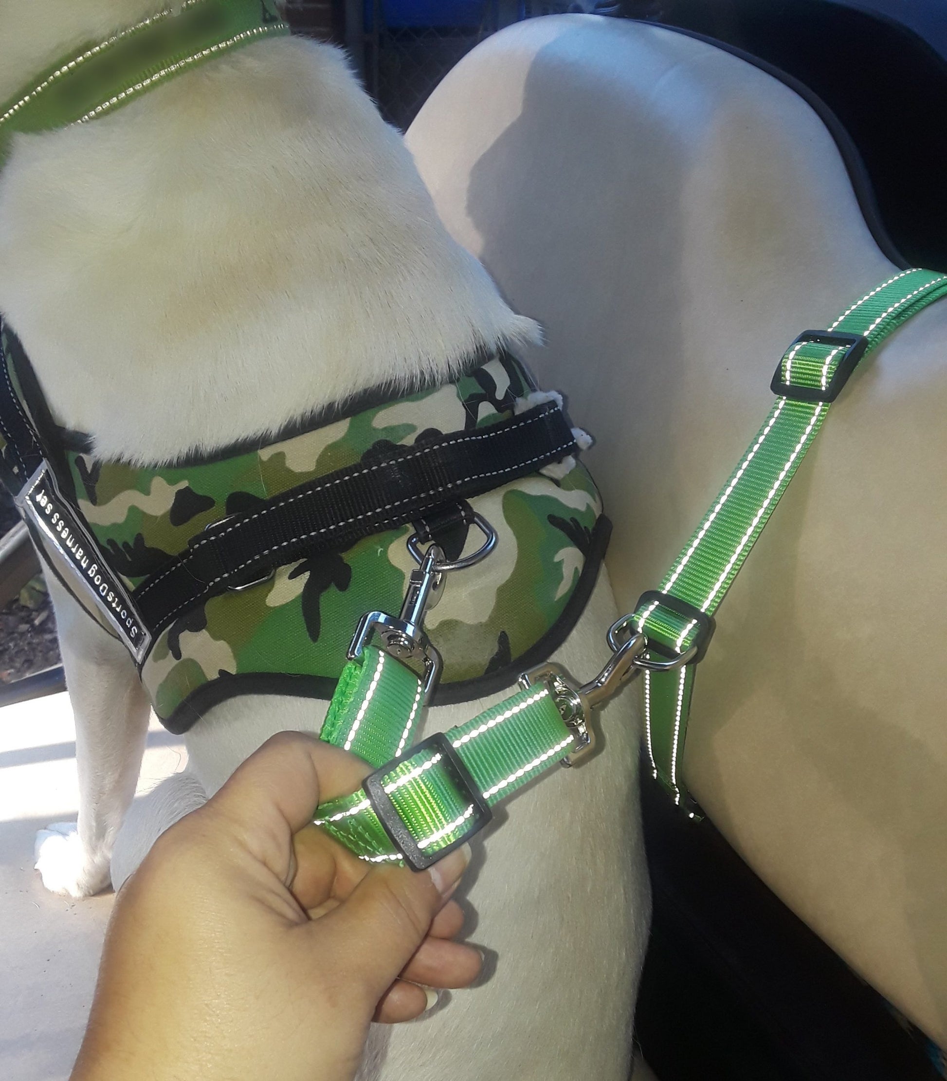 K9 CoPilot® Safety Belt w/ Detachable Tether image 7