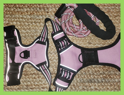 Harness + Leash - Pink