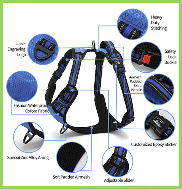 Harness + Leash - Black