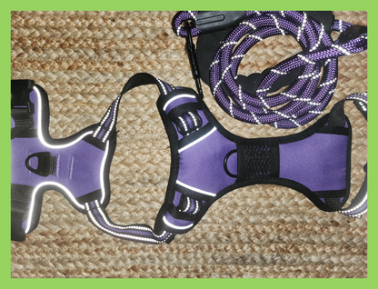 Harness + Leash - Purple
